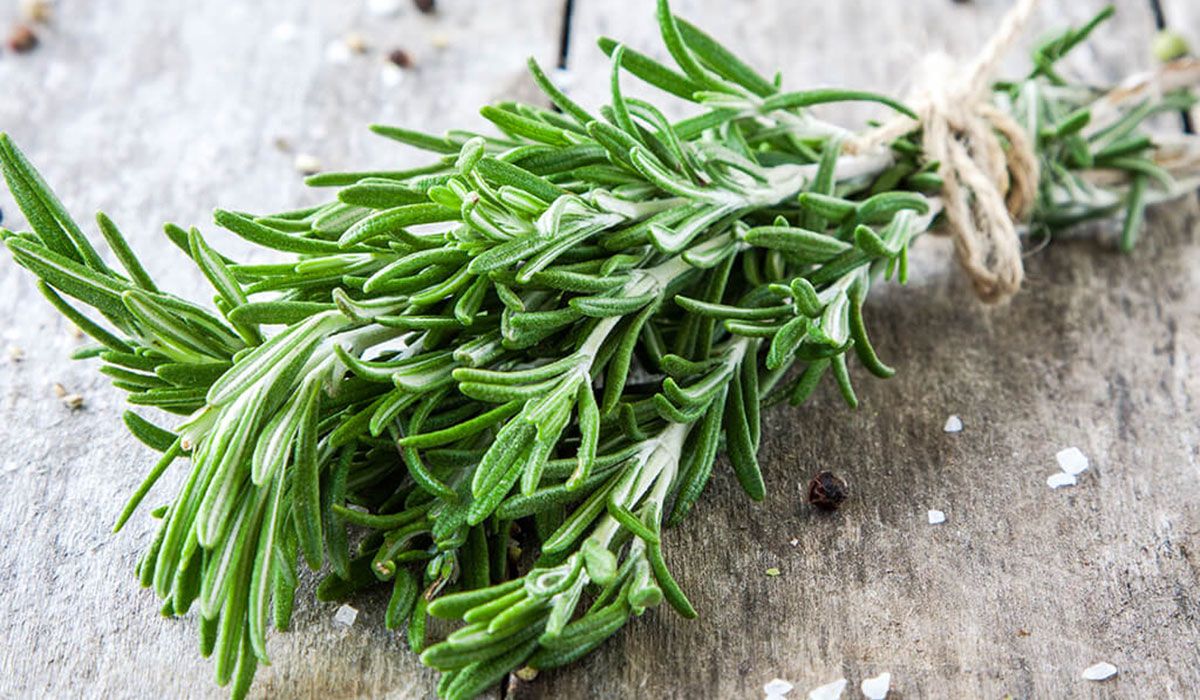 Bunch thyme