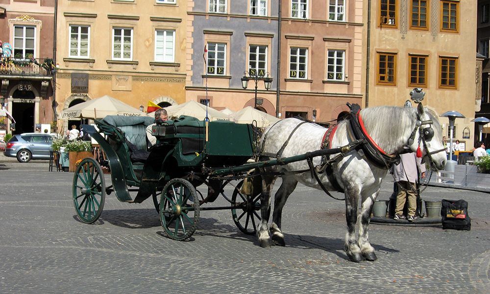 Cab standing in the market