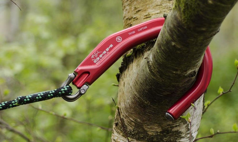 Hook attached to tree