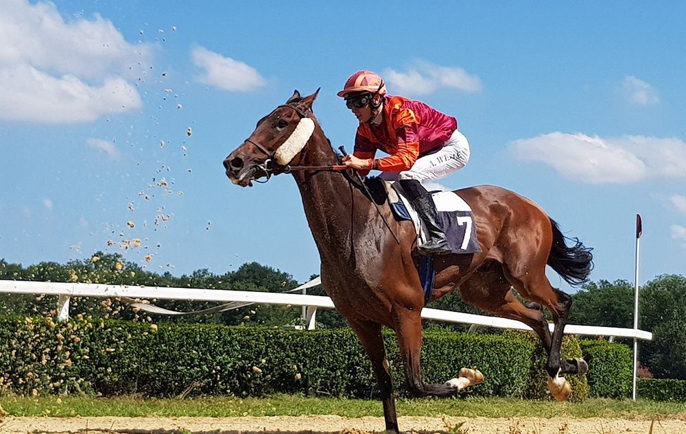 Jockey sitting on his horse