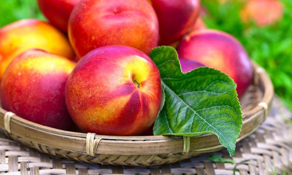 Nectarine