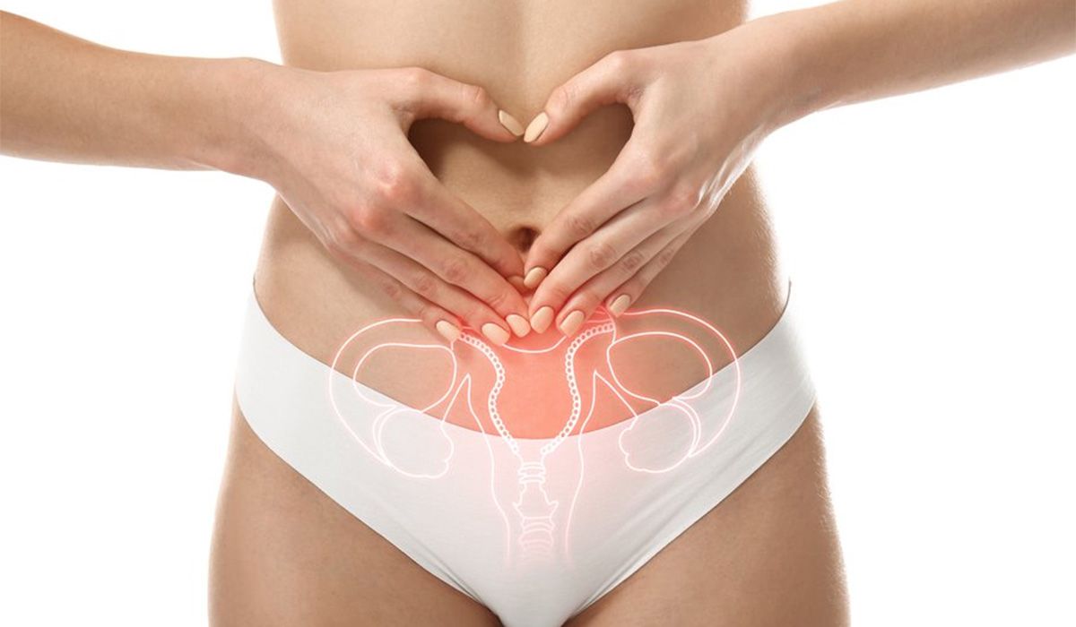 Ovary
