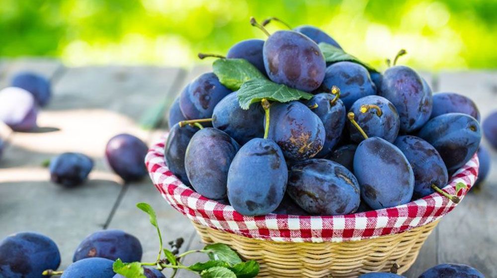 Plums in a basket lying on the table