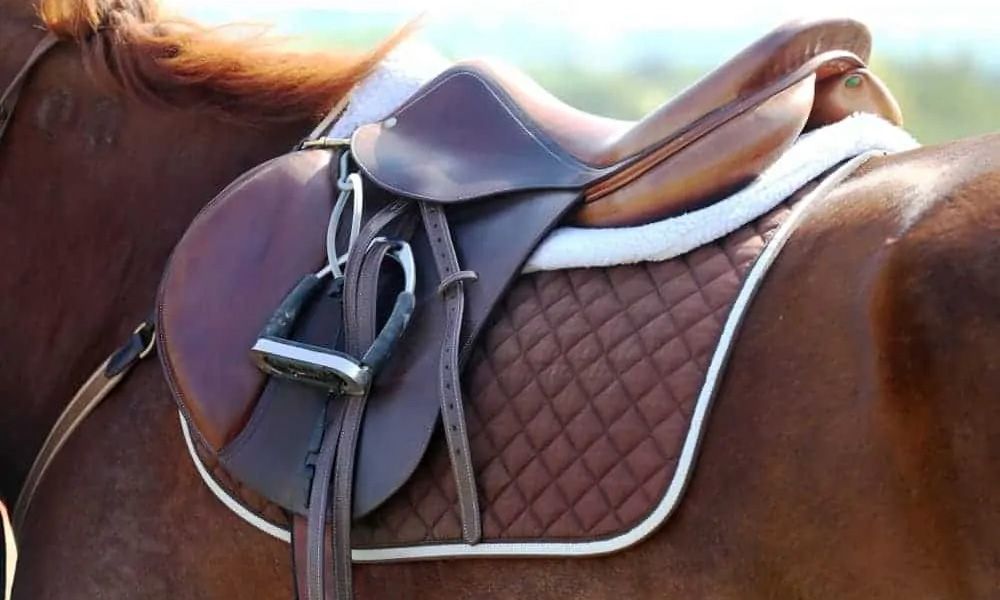 Saddle