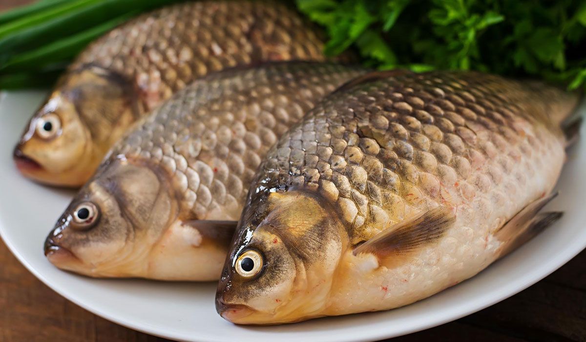 Three carps on a plate