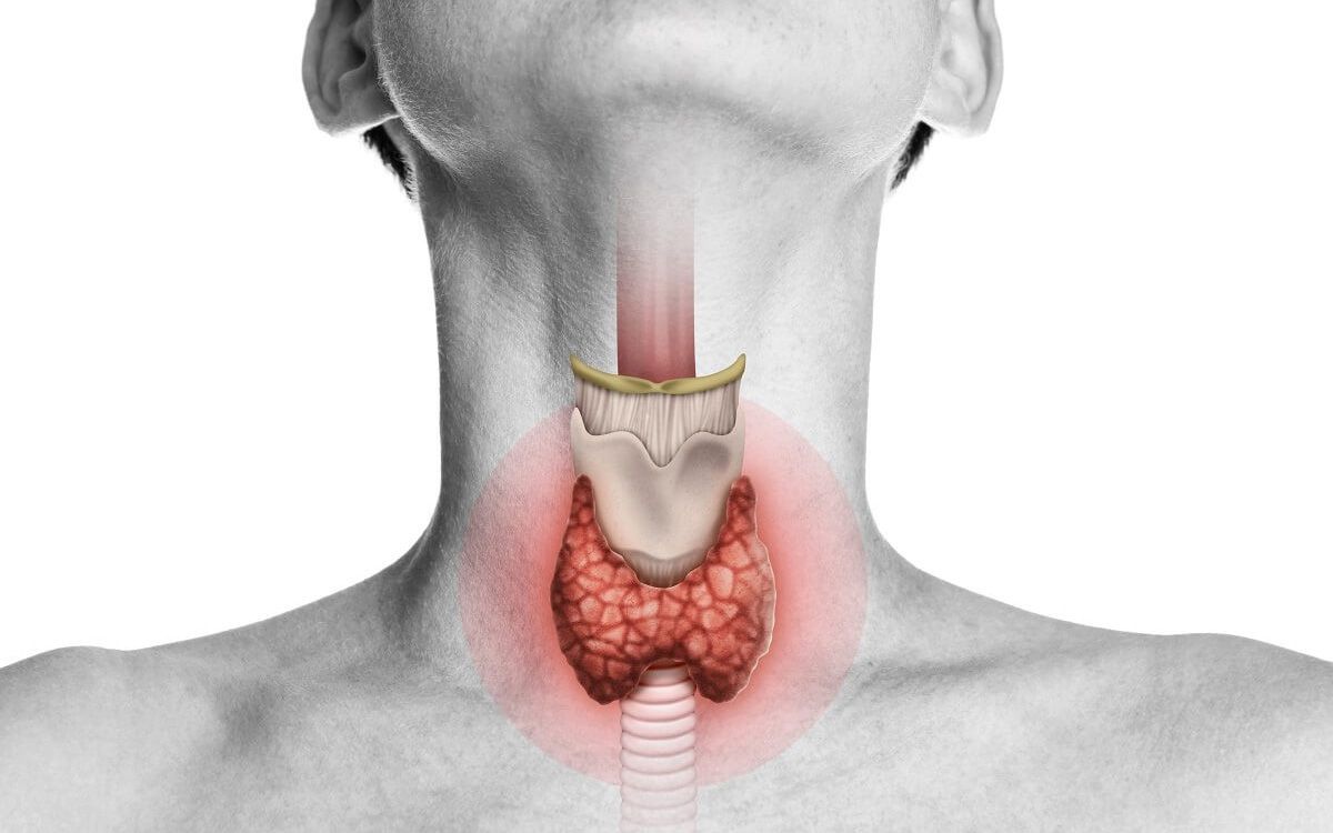 Thyroid