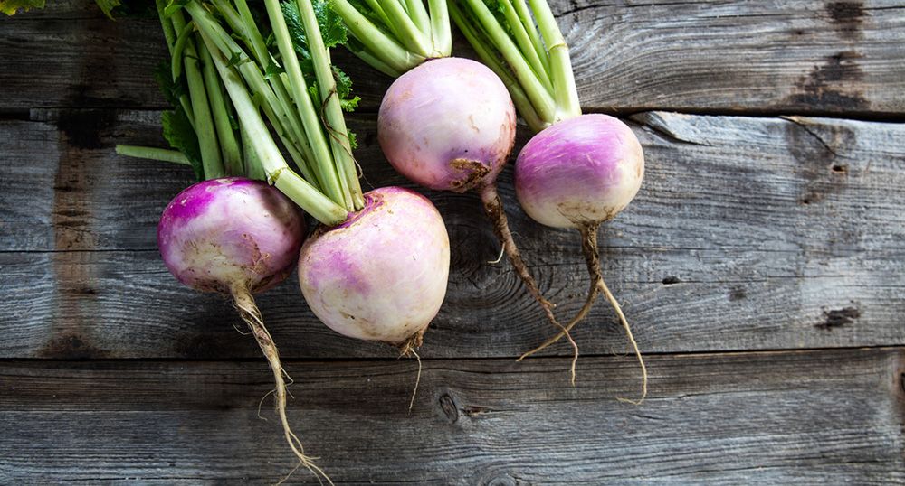 Turnip on wooden background