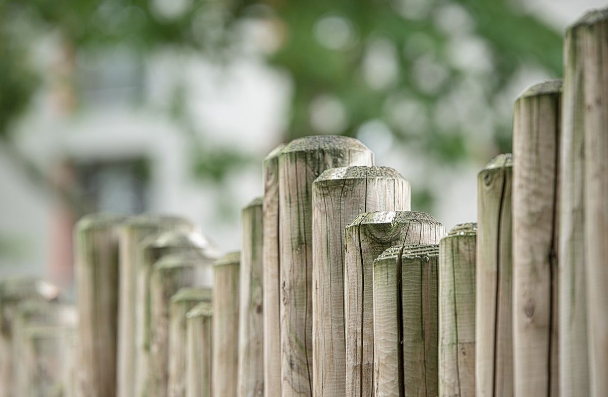 Wooden garden palisade
